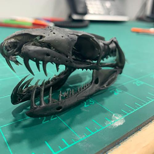 Print Models from Supplied Files